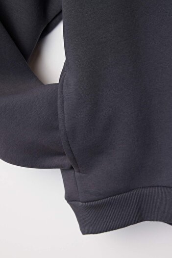 Trendyol Collection Anthracite Thick Fleece Inside Hooded Slogan Printed Boxy Fit Knitted Sweatshirt Twoaw26Sw00217