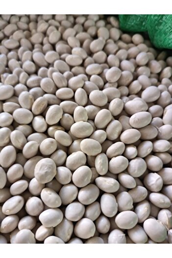 Haci Kamil İSPİR ŞEKER FASULYE 25 KG DÖKME ÇUVAL