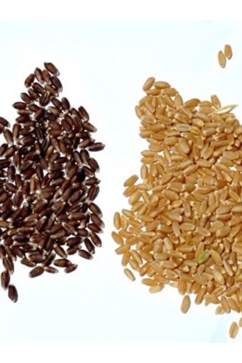 KAPPADOKİA Mor Buğday Unu 1 Kg