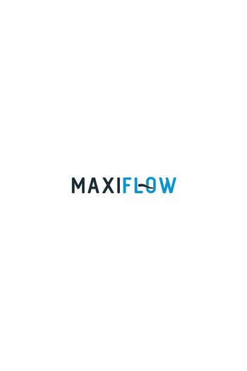 Maxiflow Paslanmaz Çelik Krom Sıvı Sabunluk 500ml Kapasiteli Sıvı Sabunluk Duvara Monte