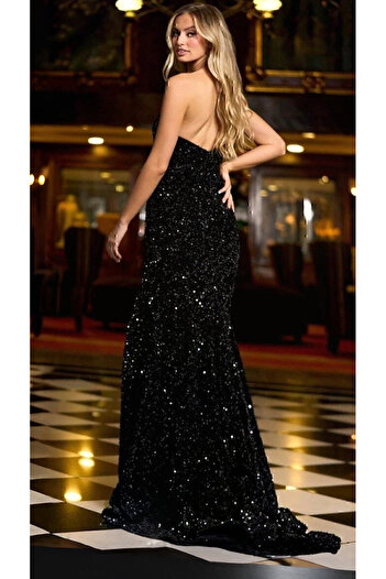 SELİN MODA EVİ Kadife Pullu Elbise Siyah 583150
