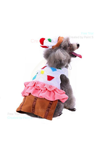 fara marca Puppy T-shirt