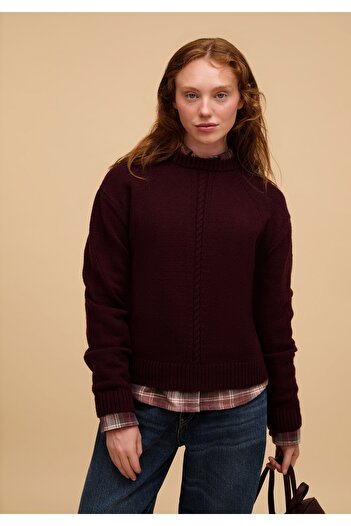 Colin's Regular Fit Round Neck Plain Women's Purple Sweater