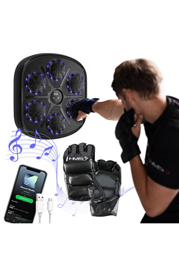 Other TB03 INTELLIGENT MUSIC BOXING MACHINE BLUETOOTH WITH GLOVES HMS