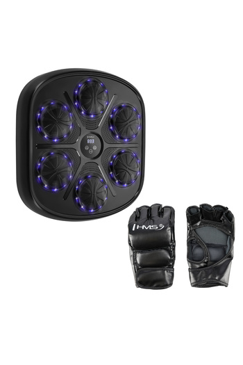 Other TB03 INTELLIGENT MUSIC BOXING MACHINE BLUETOOTH WITH GLOVES HMS