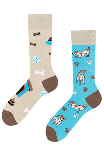 Todo Socks Jack Russell cotton socks