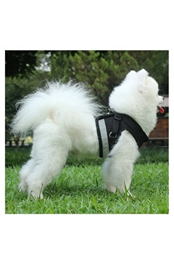 Other PRESSURE-FREE WALKING HARNESS ADJUSTABLE REFLECTIVE FOR CAT + LEASH SIZE XS
