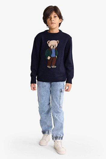DeFacto Boy's Crew Neck Teddy Bear Printed Knitwear Sweater G3077A825Wn