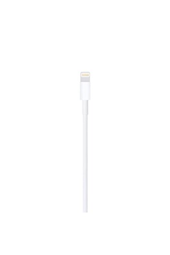 Apple iPhone A1480 USB to Lightning Data Cable, 1m (MXLY2ZM/A)