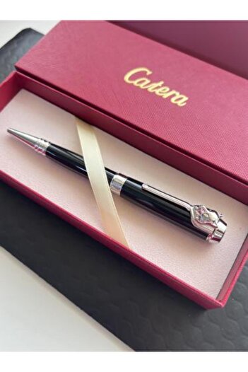 catera Bold pen revealing uniqueness and strength in decision-making
