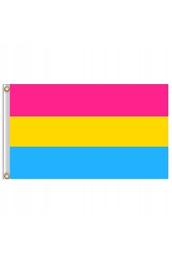 Other LGBT RAINBOW FLAG LARGE 90x150cm PANSEXUALITY F2