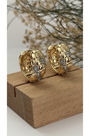 mibrillo Brand Equivalent Snake Skin Model Zircon Stone Stylish Hoop Earrings