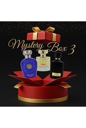 Lattafa perfumes SURPRISE BOX 3 Premium Arabian Unisex Perfumes (3 x 100 ml)