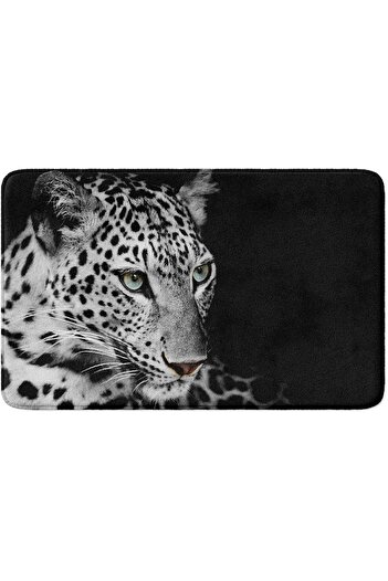 STOREMAX Cute Design Microfiber Mat, Non-Slip Base, Washable (150_Bpsm, 40X60) 978262