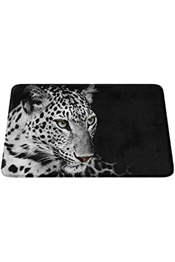 STOREMAX Cute Design Microfiber Mat, Non-Slip Base, Washable (150_Bpsm, 40X60) 978262