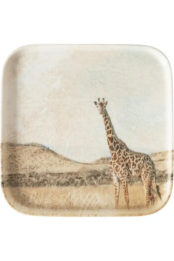 STOREMAX Goldwhirl Concept Square Plate 22cm- Trendflash 467437