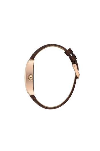 Daniel Klein Premium Watch DK.1.13909.5