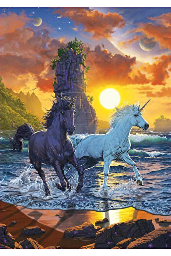 EDUCA Puzzle 1000 pieces Unicorns on Beach 19025