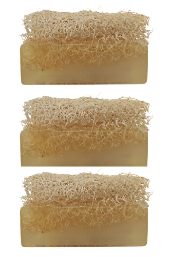 Dr.Dermalok Set of 3 Pumpkin Fiber Rice Extract Soap (Peeling Effect)
