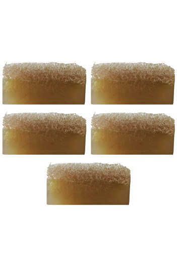 Dr.Dermalok Set of 5 Pumpkin Fiber Garlic Soap (Peeling Effect)