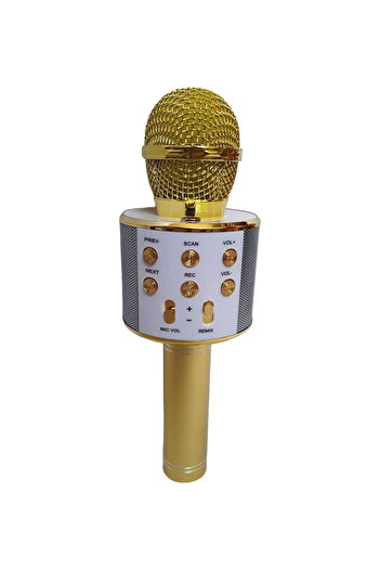 OEM Gold karaoke microphone with bluetooth and speaker