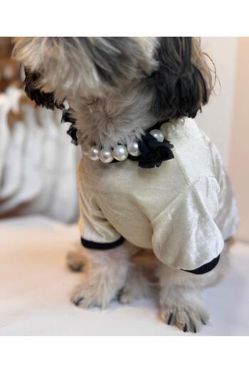 For a Fur Baby Yellow Velvet Dog Sweater