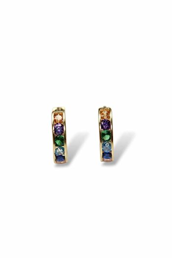 Diva Gold Gold earrings