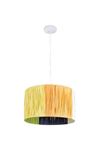 HAMER Modern pendant light E27*1L diameter 300mm