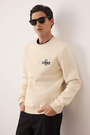 Trendyol Collection Кам'яний Regular/Normal Крій Вишитий Внутрішня частина з флісу Бавовняний світшот TMNAW24SW00127