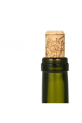 Dünya Magnet 50 Pieces of Bottle Cork - Natural Cork Stopper - Wine Bottle Cork Stopper