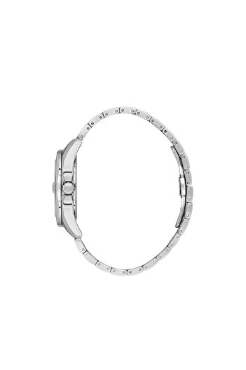 Daniel Klein Premium Watch DK.1.13978.3