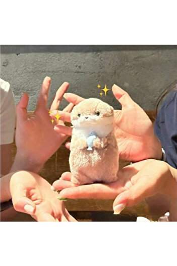 Choice 12cm Pearl Chain Style 12cm Cartoon Dolls Cute Little Otter Hug Fish Plush Toy Pendant Doll Backpack