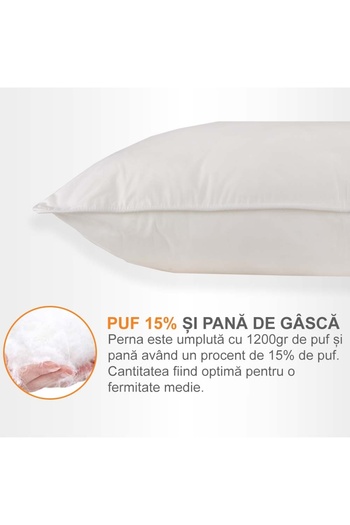 Pernador Set of 2 pillows with 15% goose down and feather, 50x70 cm, White