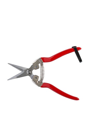 micul fermier MICUL FERMIER vegetable/fruit scissors, GF-1705, 60 mm curved