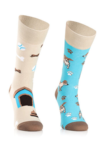 Todo Socks Jack Russell cotton socks