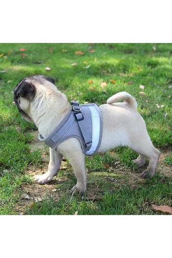 Other PRESSURE-FREE WALKING HARNESS ADJUSTABLE REFLECTIVE FOR CAT + LEASH SIZE L