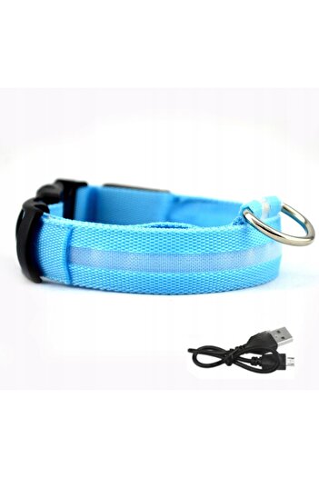 Other LED Waterproof Dog Collar with USB Cable, BLUE XL 52-60cm