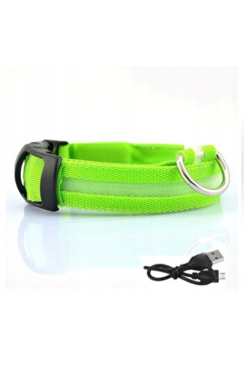 Other LED Waterproof Dog Collar with USB Cable, GREEN XL 52-60cm