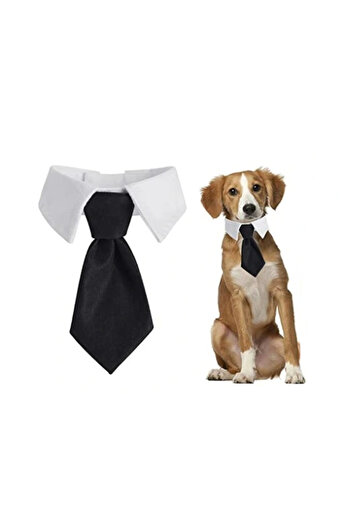 Other TIE FOR DOG CAT Universal Velcro ELEGANT WEDDING OUTFIT size S