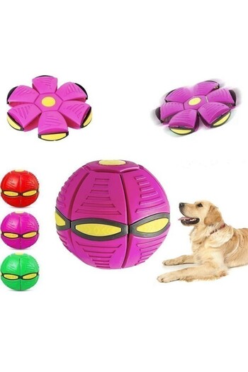 Sunshine smile Interactive ball for dogs,