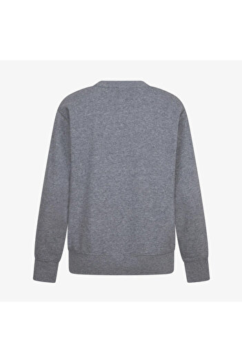 Nike Jordan Zero Necklined Grey Double Yarn Children's Sweatshirt 95D389