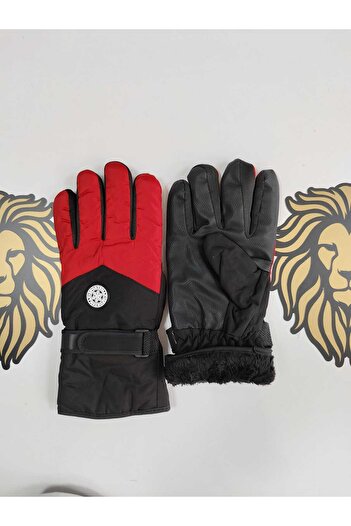 Leos -1St Quality Gloves-Imported Winter Gloves-Motorcycle Gloves Ski Gloves Winter Gloves-