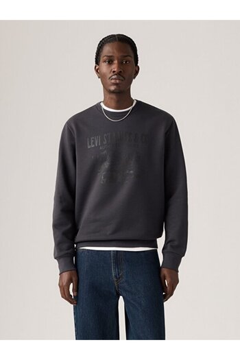 Levi's Standard Graphic Sweatshirt