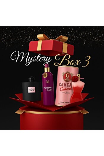 montage SURPRISE BOX 3 – Premium Women's Perfumes (3 x 100 ml)