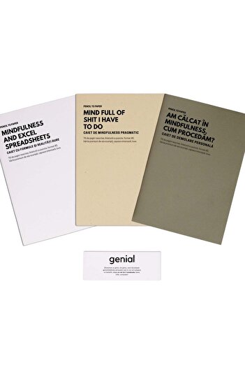 WonderStore Funny gift for organized men - Set of 3 genius notebooks - Analytical minds