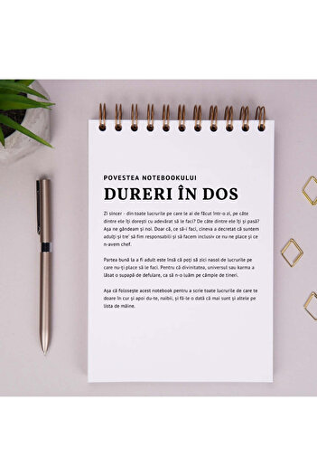 WonderStore Funny gift notebook for colleagues and friends - Back pain