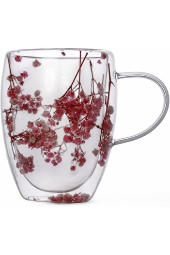 STOREMAX 350ml Double Wall Floral Mug – Durable Double Layer Glass Tea & Coffee Cup |   Stylish and Ergonomic