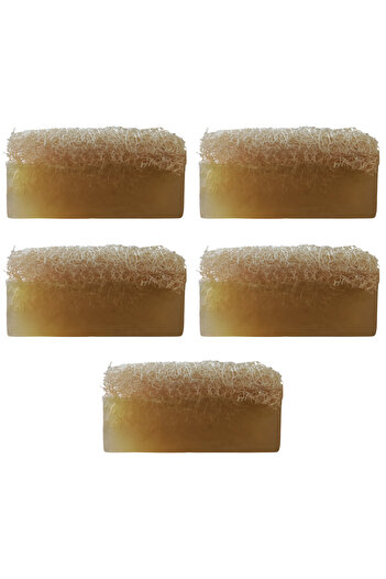 Dr.Dermalok Set of 5 Pumpkin Fiber Jojoba Soap (Peeling Effect)
