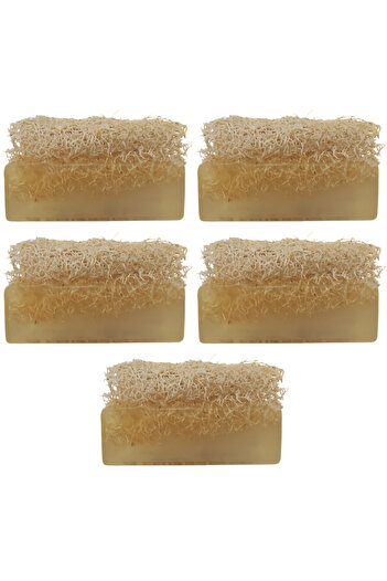 Dr.Dermalok Set of 5 Pumpkin Fiber Rice Extract Soap (Peeling Effect)