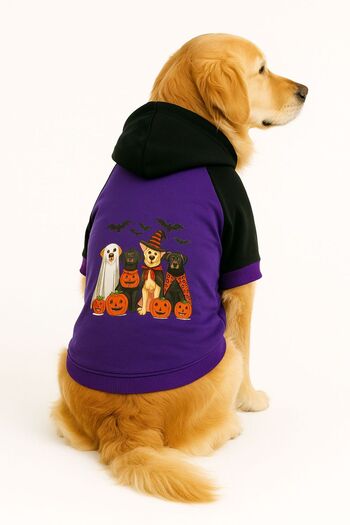 DOGİ&DOG Large Breed Purple Halloween Dog Sweati Dog Outfit (11-45kg)